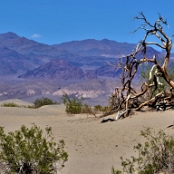 Death Valley 16